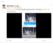 而是完全依赖对图像布局的机械